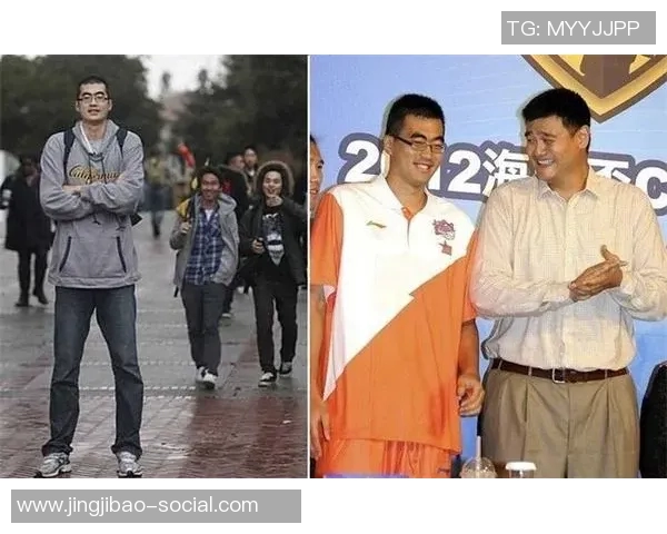 龙王对姚明的高度评价与篮球精神的传承与影响分析