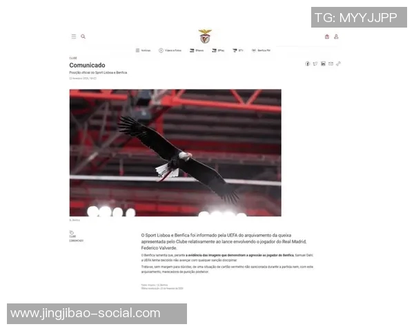 世界杯激战本菲卡与曼城平局红牌事件引发全场热议与转会传闻